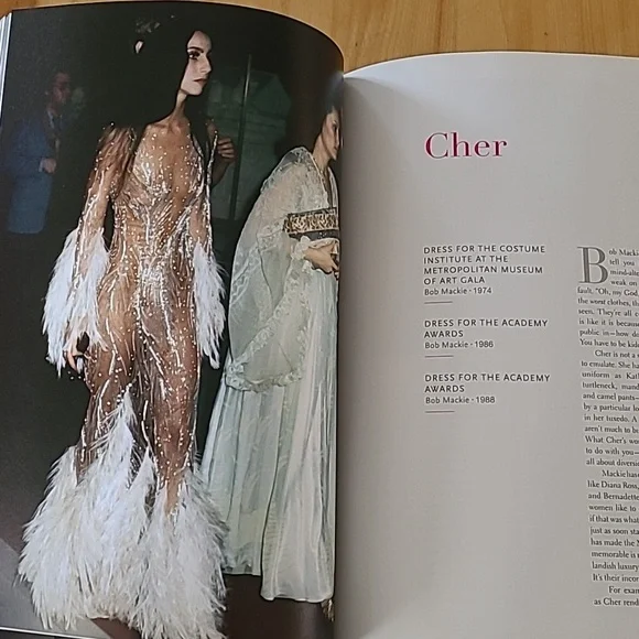 100 UNFORGETABLE DRESSES by Hal Rubinstein - Picture 9 of 14